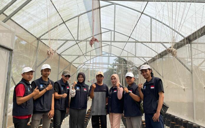 KKNT PTM2D Manfaatkan Hidroponik dalam Pengembangan Media Tanam Untuk Pertanian Melon
