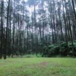 Wisata Gunung Pancar Bogor