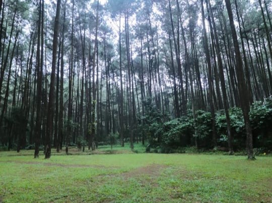 Wisata Gunung Pancar Bogor